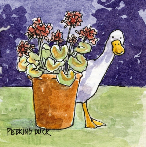 Showcase - Peaking Duck