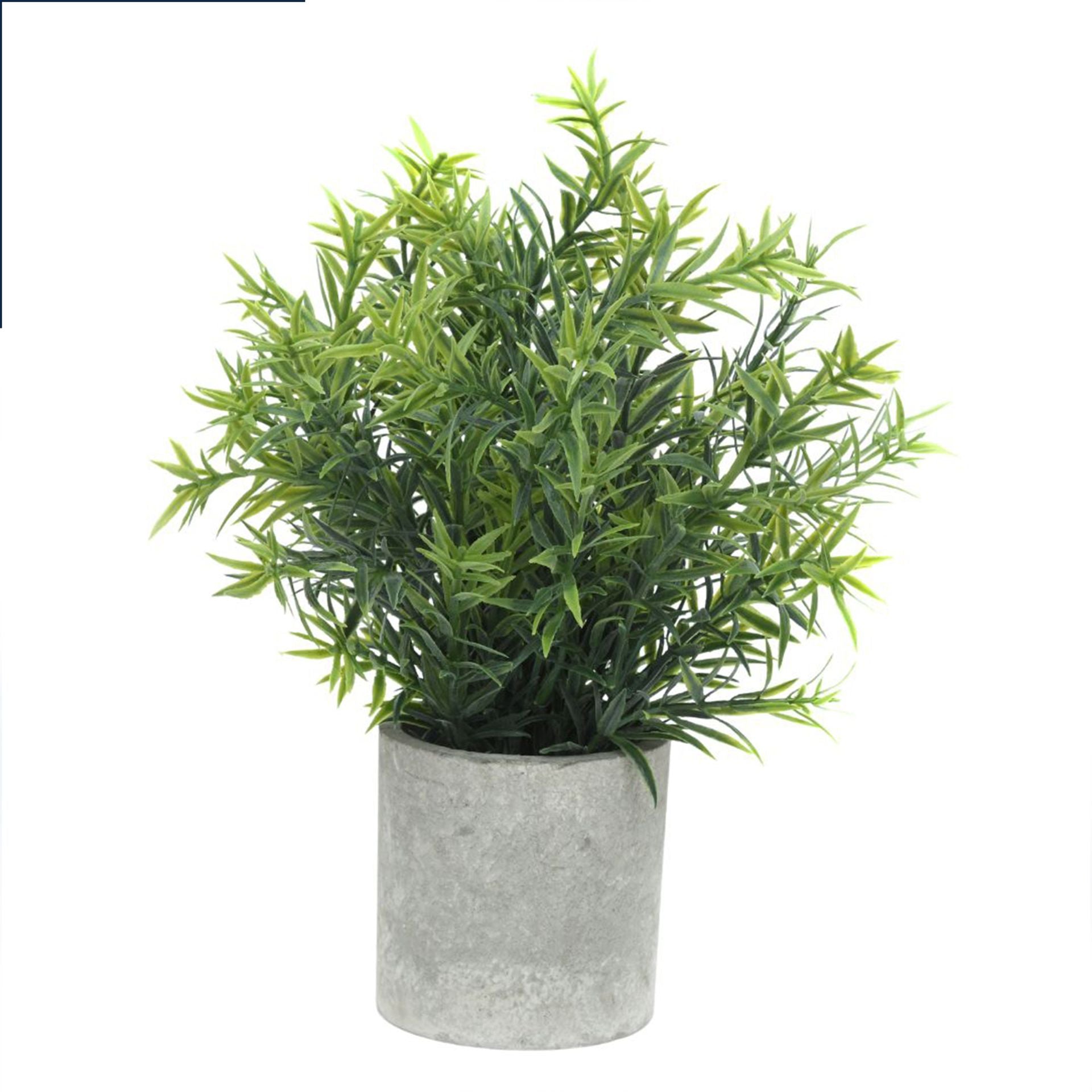 Plant In Stone Effect Pot