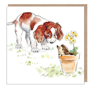 Cute Dog Card - Blank - Springer Spaniel with Hedgehog