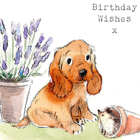 Cute Birthday - Sitting Cocker Spaniel With Lavender